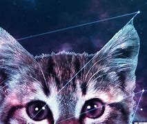 Image result for Black Cat Galaxy