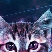 Image result for Trippy Galaxy Cat iPhone Wallpaper