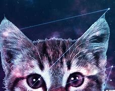 Image result for Funny Galaxy Cat Vector
