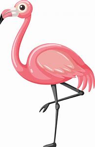 Image result for Cartoon Flamingo SVG