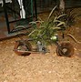 Image result for Motorcycle Yard Art