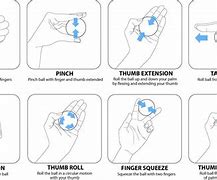 Image result for Stress Ball Exercises