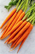 Carrot 的图像结果