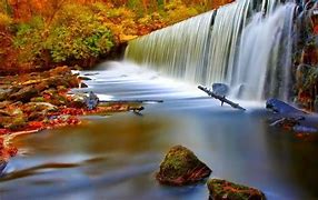 Image result for Nature Moving Screensavers Free