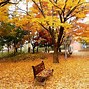 Image result for Autumn Park Scene