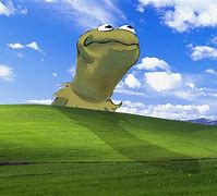 Image result for Kermit Meme Big-Picture