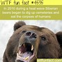 Image result for Top 10 Fun Facts Meme