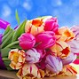 Image result for Beautiful Wallpapers for Desktop Full Screen