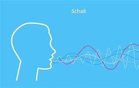 Image result for Schall