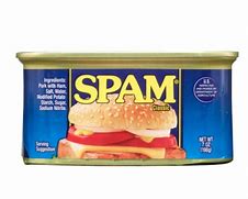 Image result for Spam Can Food