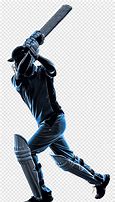 Image result for Cricketer Back Picture