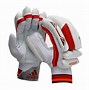 Image result for SF Cricket Gears