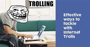Image result for To Catch an Internet Troll