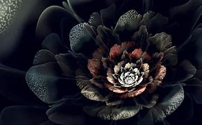 Image result for Black Flower Wallpaper 4K