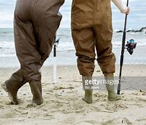 Image result for Sea Waders