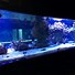 Image result for Japanese Reef Tanks