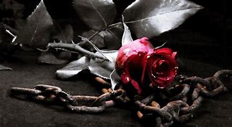 Image result for Romantic Gothic Heart