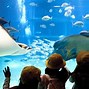 Image result for Top 10 Attractions in Osaka