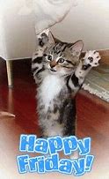 Image result for Happy Friday Cat Animated