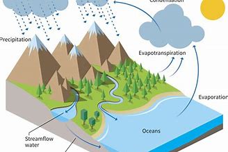Image result for Illustration of Water Cycle