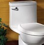 Image result for Toilet Bowl Flushing System