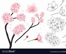 Image result for Sakura Flower Outline