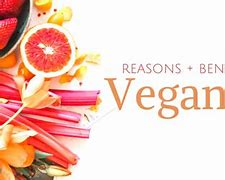 Image result for Why Go Vegan
