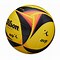 Image result for Wilson Sand Volleyball