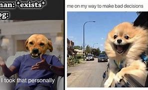 Image result for Who Called You a Bad Dog Meme