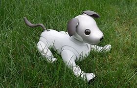 Image result for Sony Aibo PS