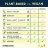 Image result for Meat vs Vegetarian
