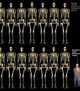 Image result for Nephilim Skeletons