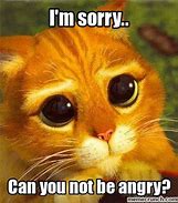 Image result for Terrified of Saying Sorry Meme
