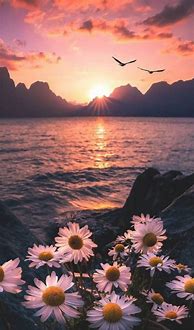 Image result for Aesthetic Wallpaper iPad Sunset