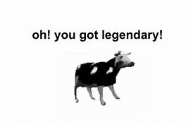 Image result for Polish Cow Meme English-Lyrics