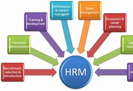 Image result for Human Resources What People Think I Do