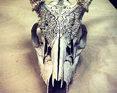 Image result for Deer Skull Pyrography