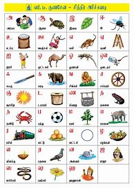 Image result for Beginner Tamil Worksheets for Kindergarten