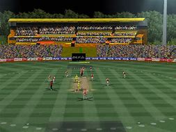 Image result for Cricket Patch