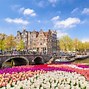 Image result for Netherlands Flowers