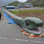 Image result for Show Me the Biggest Snake in the World