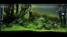 ada aquascape ada 90p aquascape quot running up that hill quot maintenance day ada aquascape ada 90p aquascape quot running up that hill quot maintenance day