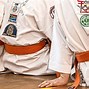 Image result for Martial Arts Gear