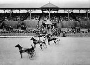 Image result for Heavy Horse Racing Falls