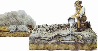 Image result for Giuseppe Fiorelli Pompeii Artifacts