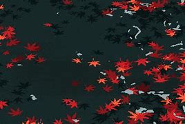 Image result for Maple Flag Exercise