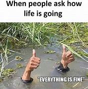 Image result for How's Everything Going Meme