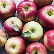 Image result for Apple Fruit Types