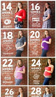 Image result for Baby Bump Progression