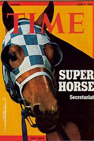 Image result for Secretariat Horse Racing Wallpaper